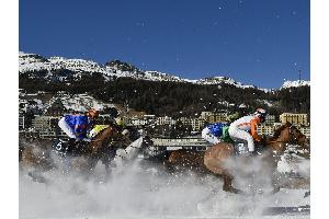 Schwerer Sturz beim White Turf: Jockey im Krankenhaus, Pferd eingeschläfert
