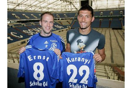 Im Sommer 2005 wechselte Kurányi zum FC Schalke 04.