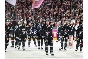 DEL: Köln löst viertes direktes Play-off-Ticket
