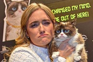 Grumpy Cat: Die berühmteste Katze der Welt ist tot