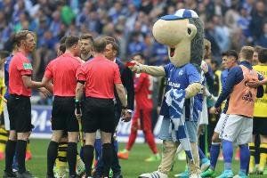 Schalke-Maskottchen "Ährwin" nur ermahnt