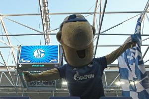 Ein Blauer zeigt Rot - Aufregung um Schalke-Maskottchen "Ährwin"