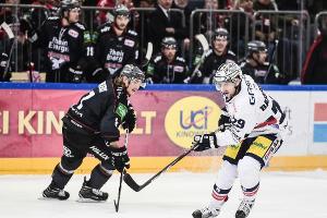 DEL: Kölner Haie lösen Vertrag mit Ankert auf