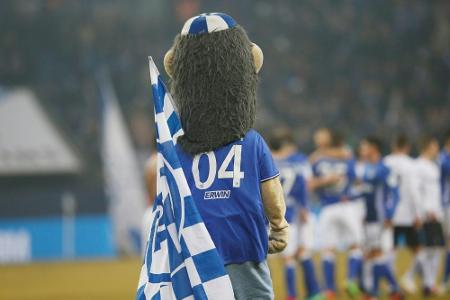Fußball-Maskottchen als Aufreger: Pinkelnde Biene, prügelnder Elefant, beschwipster Löwe Fußball-Maskottchen als Aufreger: Pinkelnde Biene, prügelnder Elefant, beschwipster Löwe