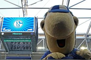 Maskottchen des Tages: "Ährwin" (Schalke 04)