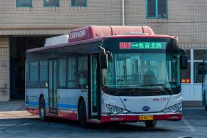 BYD beliefert Ägypten mit E-Bussen