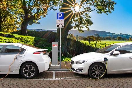 Knapp 6.000 neue E-Autos im Juli Knapp 6.000 neue E-Autos im Juli