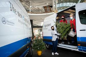WunderTree per E-Sprinter