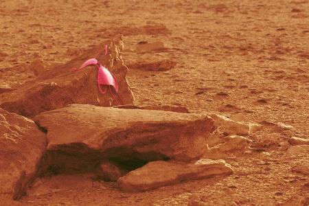 Tesla Roadster endlich auf dem Mars gelandet (in diesen düsteren Renderings) Tesla Roadster endlich auf dem Mars gelandet (in diesen düsteren Renderings)