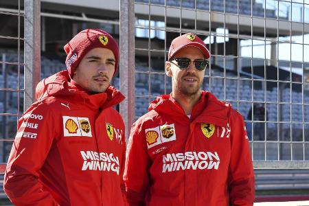 Charles Leclerc und Sebastian Vettel waren sich in Brasilien nicht ganz grün ... Charles Leclerc und Sebastian Vettel waren sich in Brasilien nicht ganz grün ...