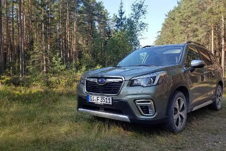 Subaru Forester e-Boxer (2020): Neuer Benziner mit Mildhybridsystem Subaru Forester e-Boxer (2020): Neuer Benziner mit Mildhybridsystem
