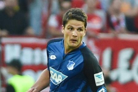 Schwegler wechselt von Hoffenheim zu Hannover 96 Schwegler wechselt von Hoffenheim zu Hannover 96