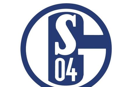Schalke testet gegen Crystal Palace Schalke testet gegen Crystal Palace