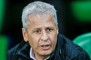 Bild: Favre Favorit auf Tuchel-Nachfolge beim BVB