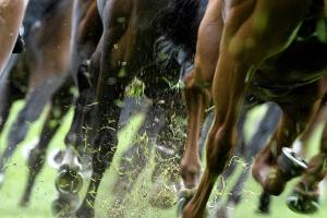 Galopp: Über zwei Millionen Euro Umsatz bei Frühjahrs-Meeting