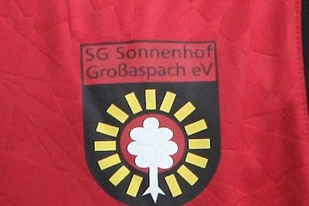 3. Liga: Hildmann neuer Trainer von Großaspach 3. Liga: Hildmann neuer Trainer von Großaspach