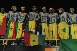 Acht Tote bei Stadionkatastrophe im Senegal