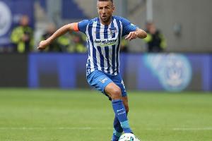 Beleidigung des Tages: Vedad Ibisevic (Hertha BSC)