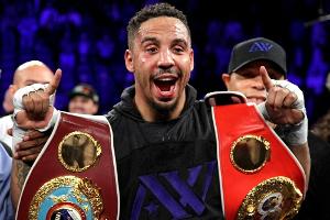 Ward beendet Box-Karriere