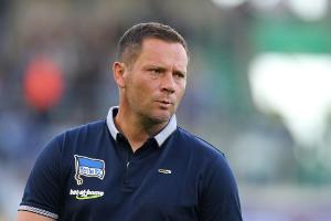 Hertha-Trainer Dardai vor Dortmund-Spiel: "Wir müssen leiden"