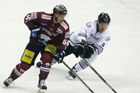 Nürnberg Ice Tigers vorerst ohne Köppchen Nürnberg Ice Tigers vorerst ohne Köppchen