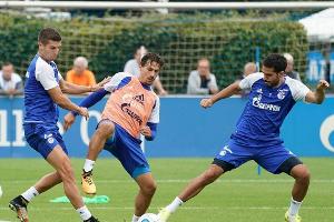 Schalke gegen Mainz weiter ohne Nastasic und Insua