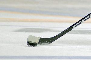 Eishockey: Ingolstadt verpflichtet US-Stürmer Olson