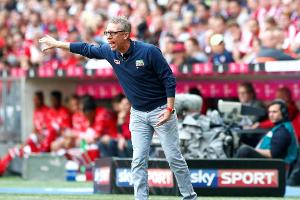 FC-Trainer Stöger: Rücktritt wäre "unmoralisch, fahrlässig und egoistisch"