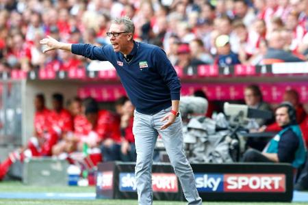 FC-Trainer Stöger: Rücktritt wäre FC-Trainer Stöger: Rücktritt wäre