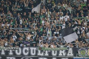Gladbacher Ultras wegen demolierter Pokal-Choreographie verärgert