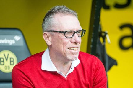 Stöger vor Stuttgart optimistisch: Stöger vor Stuttgart optimistisch: