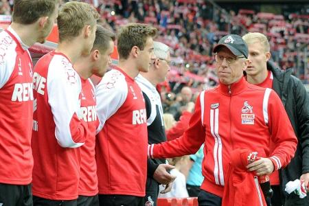 Stöger beschwört Zusammenhalt: Stöger beschwört Zusammenhalt: