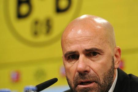 BVB-Trainer Bosz voller Optimismus - BVB-Trainer Bosz voller Optimismus -