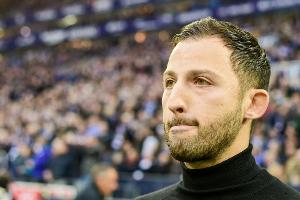 Tedesco bremst Euphorie: "Bin kein Derbyheld"
