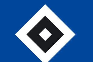 HSV-Investor Kühne muss Hoteleröffnung erneut verschieben