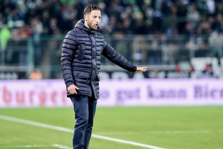Entdeckung der Hinrunde: Domenico Tedesco (Schalke 04) Entdeckung der Hinrunde: Domenico Tedesco (Schalke 04)