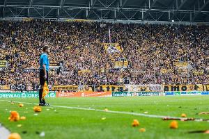 Dresdner Stadion erhält einen neuen Rasen