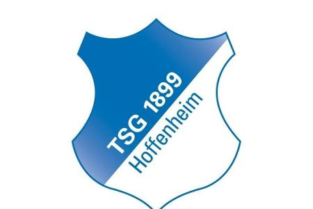 Matarazzo komplettiert Trainer-Stab bei Hoffenheim Matarazzo komplettiert Trainer-Stab bei Hoffenheim