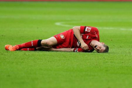 Muskelfaserriss im Adduktorenbereich: Bayer drei Wochen ohne Lars Bender Muskelfaserriss im Adduktorenbereich: Bayer drei Wochen ohne Lars Bender