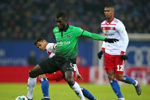 1:1 gegen Hannover: Situation bei Hollerbachs HSV immer prekärer