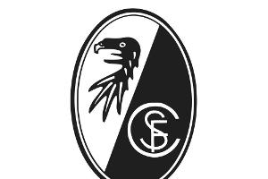 Frauen: Freiburg verpflichtet Torhüterin Frohms