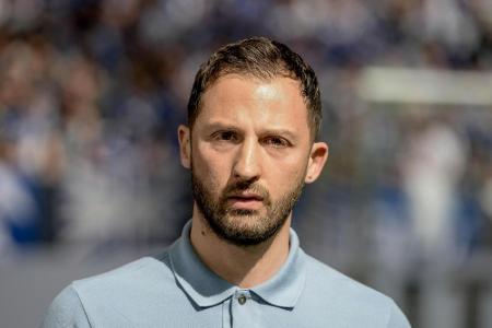 Tedescos Vertragsverlängerung auf Schalke nur noch Formsache Tedescos Vertragsverlängerung auf Schalke nur noch Formsache