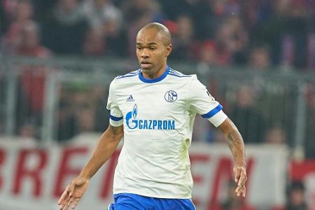 Handspiel des Tages: Naldo (Schalke 04) Handspiel des Tages: Naldo (Schalke 04)