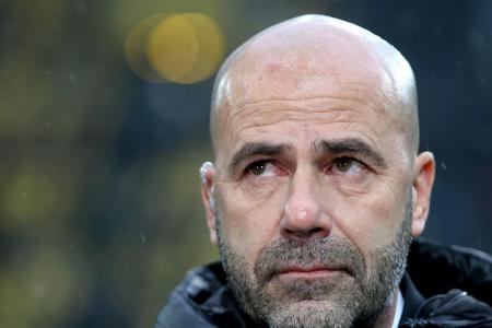 Missverständnis der Saison: Peter Bosz (Borussia Dortmund) Missverständnis der Saison: Peter Bosz (Borussia Dortmund)