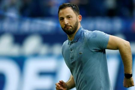 Entdeckung der Saison: Domenico Tedesco (Schalke 04) Entdeckung der Saison: Domenico Tedesco (Schalke 04)