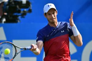 Tennisstar Murray gibt Comeback in Queens