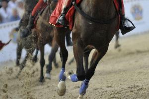 Galopp: Ehemaliger Spitzenjockey Lutz Pyritz verstorben