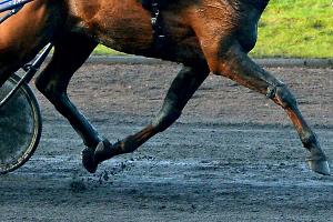 Verletzung beendet Karriere von Galopper Justify