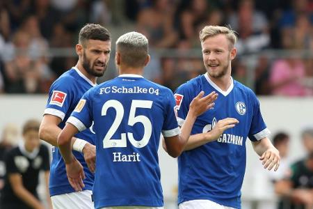 Schalker Sommerfußball in Essen Schalker Sommerfußball in Essen