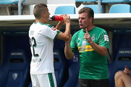 Dämpfer für Mönchengladbach Dämpfer für Mönchengladbach